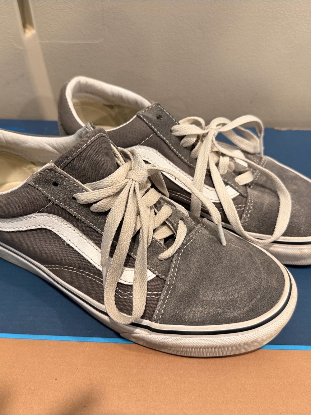 Gray Low-Top Skate Shoes with White Stripe - Brand Unspecified